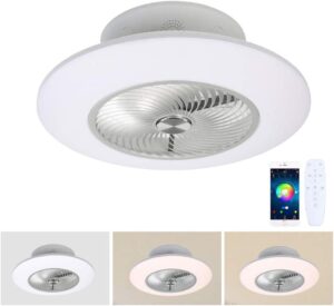 Bluetooth Ceiling Fan Light Remote, Smart APP Ceiling Fan: