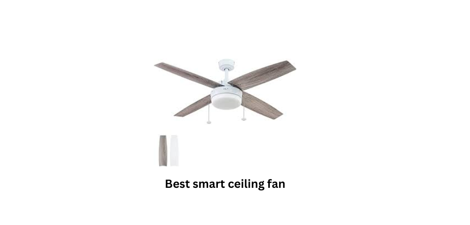 Best smart ceiling fan