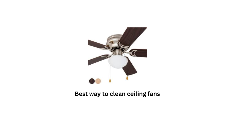 Best Way to Clean Ceiling Fans in 2023